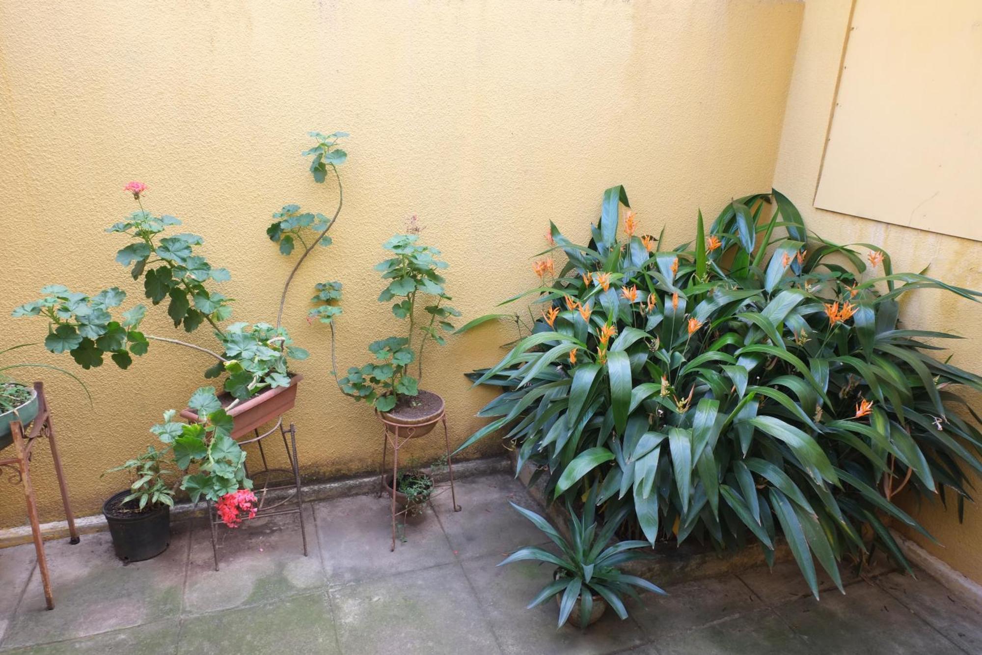 Hostal La Buena Onda Matagalpa Værelse billede